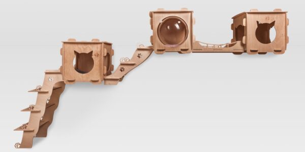 Modular Complex 61