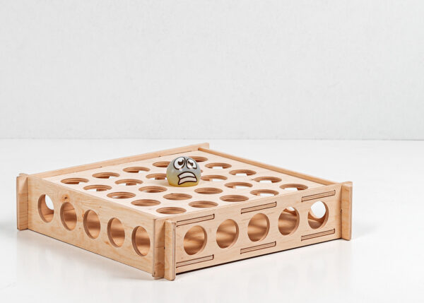 A Toy Billiards